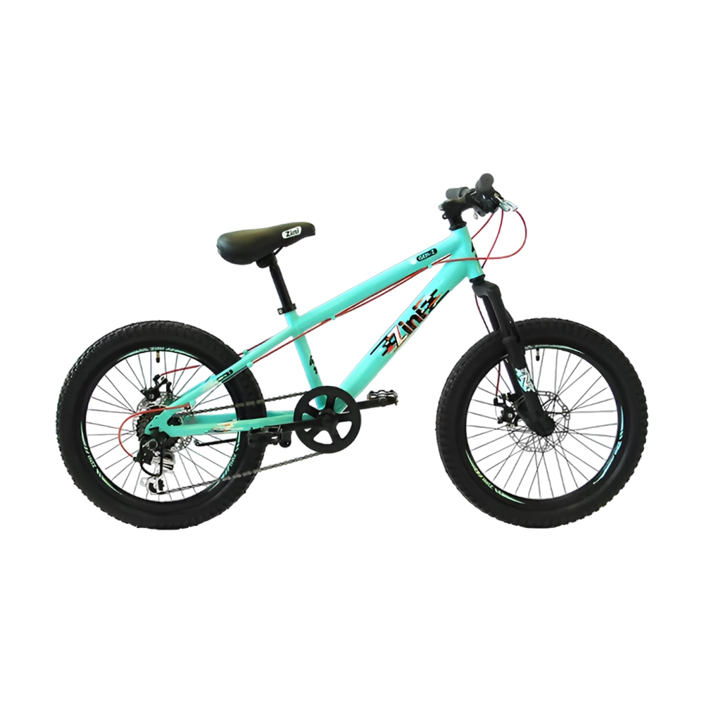 Zini Gen-Z | 20″ 6061 Alloy Frame | Disc Brake Junior Mountain Bike