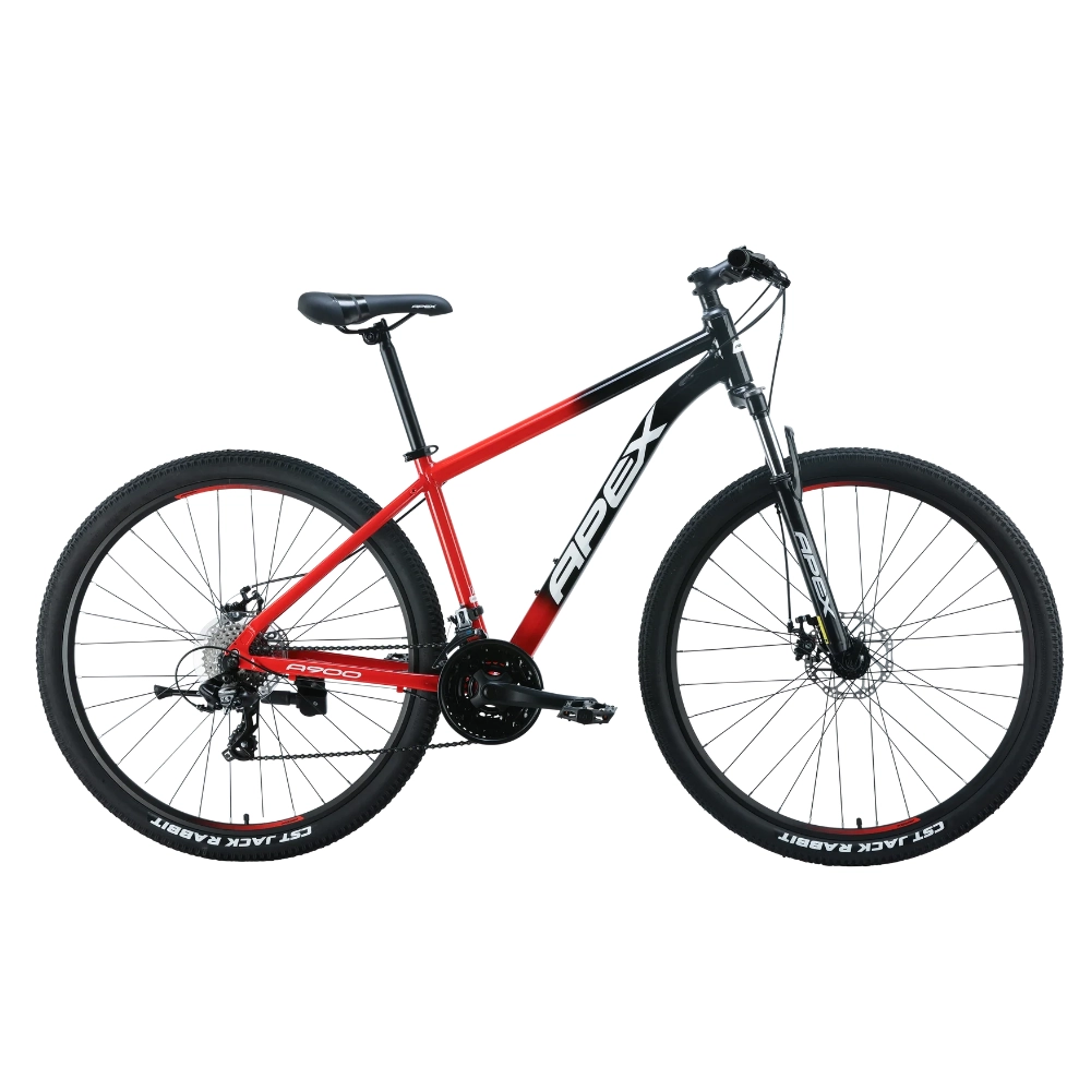 Apex A900 29 Lightweight Alloy Frame Mountain Bike 2026