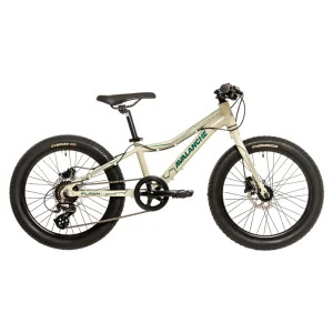 Avalanche Flash 20 Aluminium Frame Hydraulic Disc Brake Mountain Bike 2024