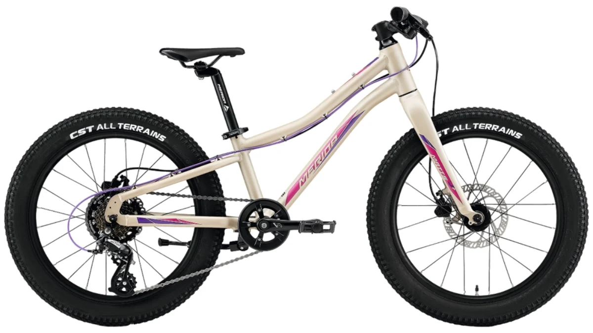 Merida-Matts-J.-20-Aluminium-