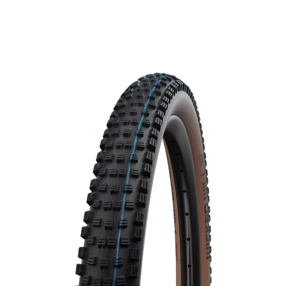 Schwalbe Wicked Will ADDIX