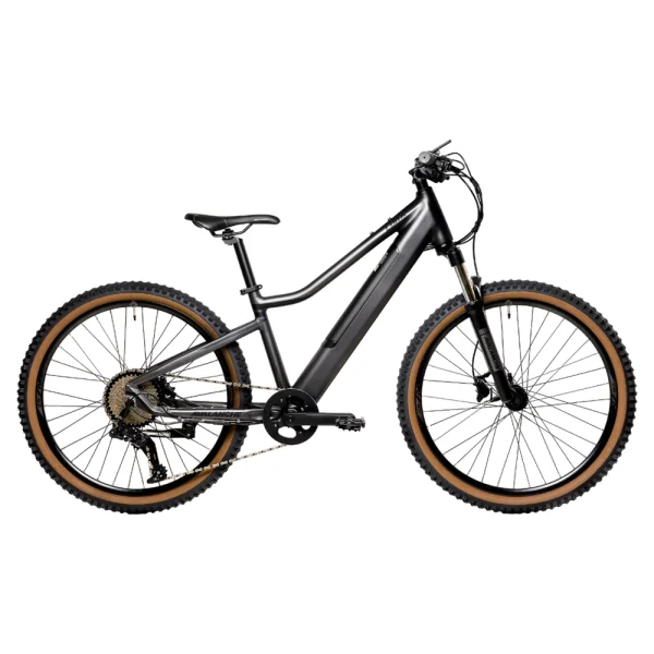 Avalanche Luna-E 26 Aluminium Frame E-Mountain Bike 2024