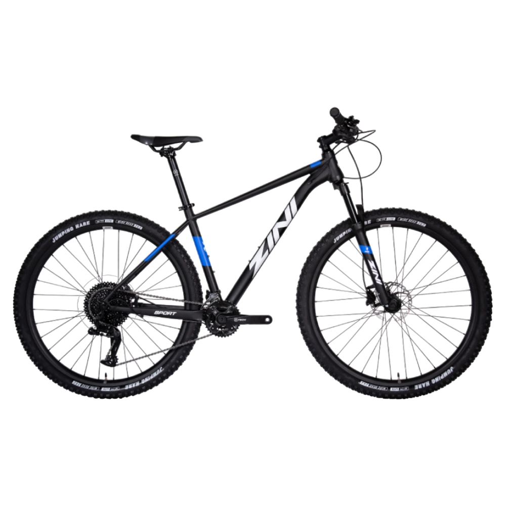 Zini Z29 Sport 29 6061 Alloy Frame Mountain Bike 2022