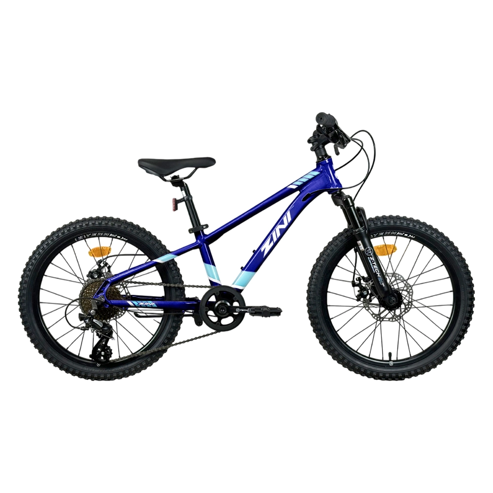 Zini Z20 Junior Boys Mountain Bike 2025