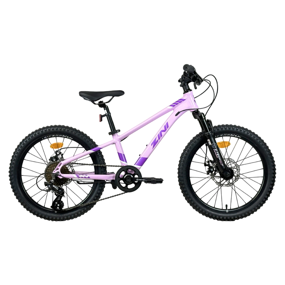 Zini Z20 Junior Girls Mountain Bike 2025