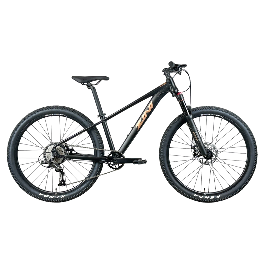 Zini Z26 Junior Mountain Bike 2025