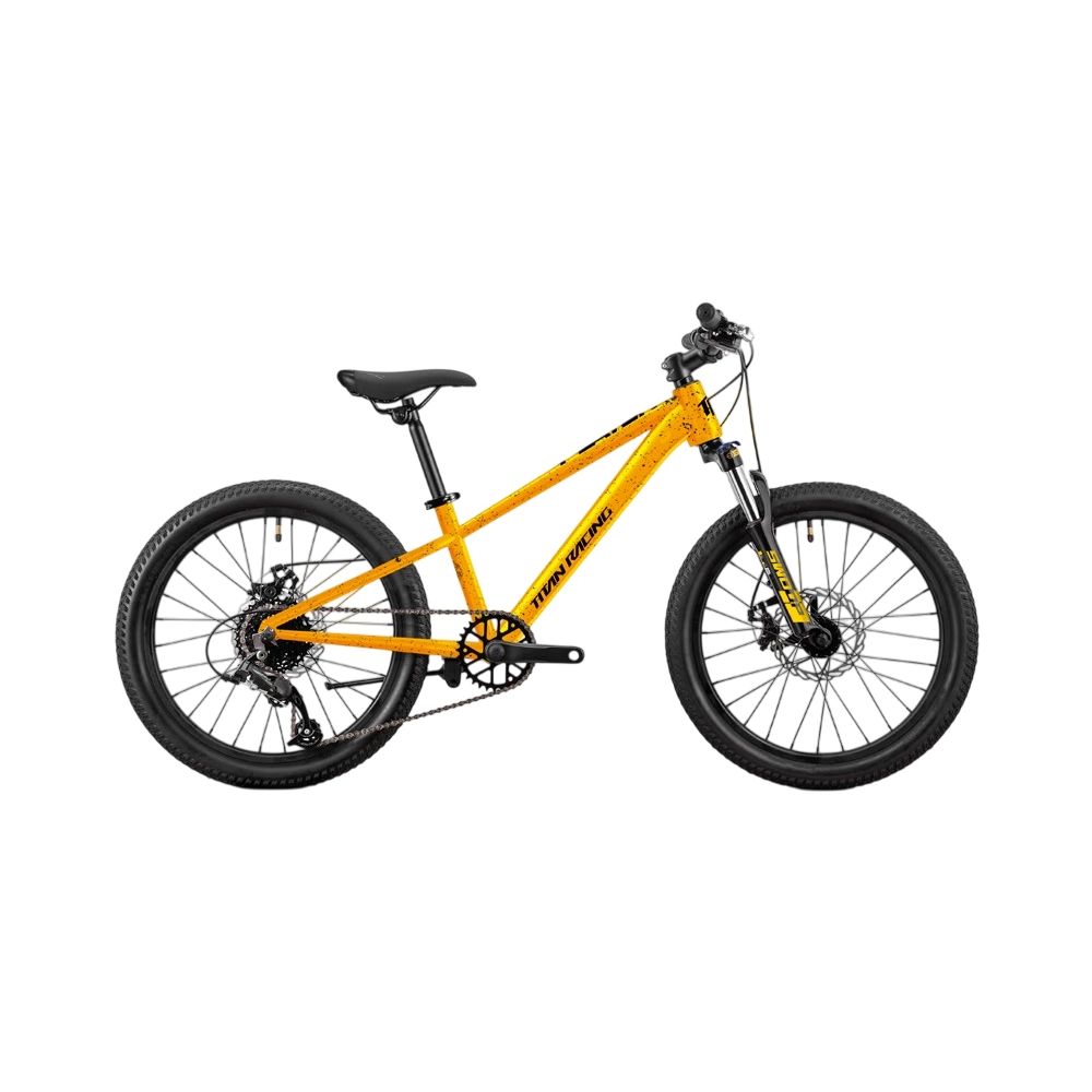 Titan Player 20 Aluminium Frame Junior Mountain Bike 2026 Mango Blast