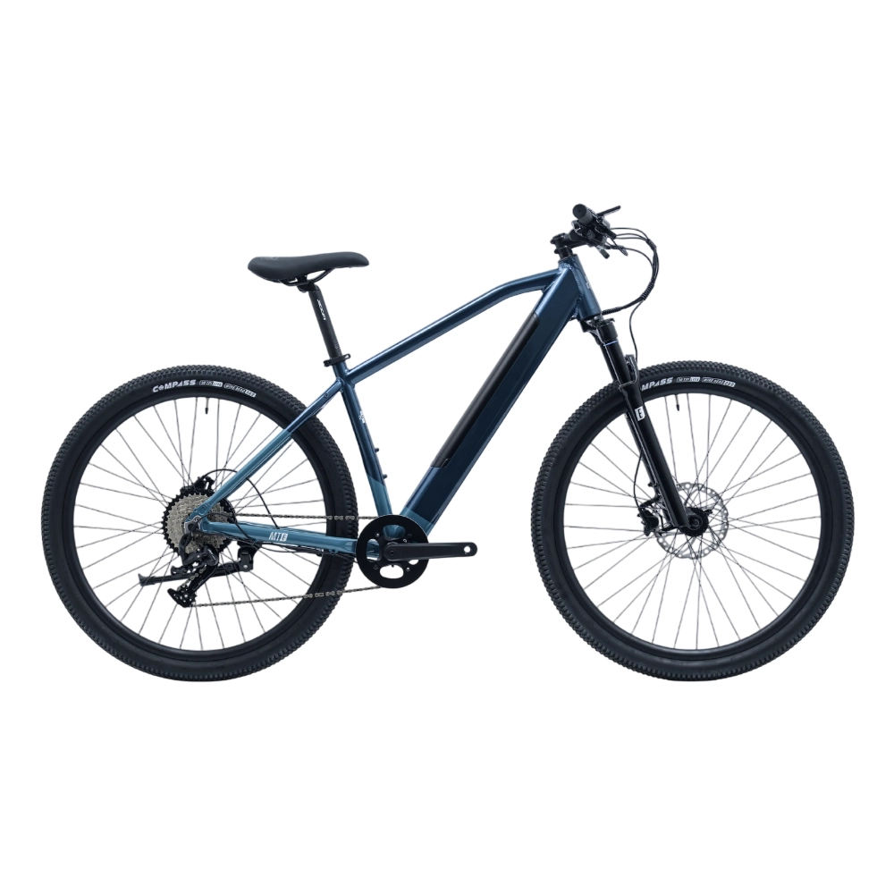 Avalanche MTe 29 Aluminium Frame E-MTB 2026