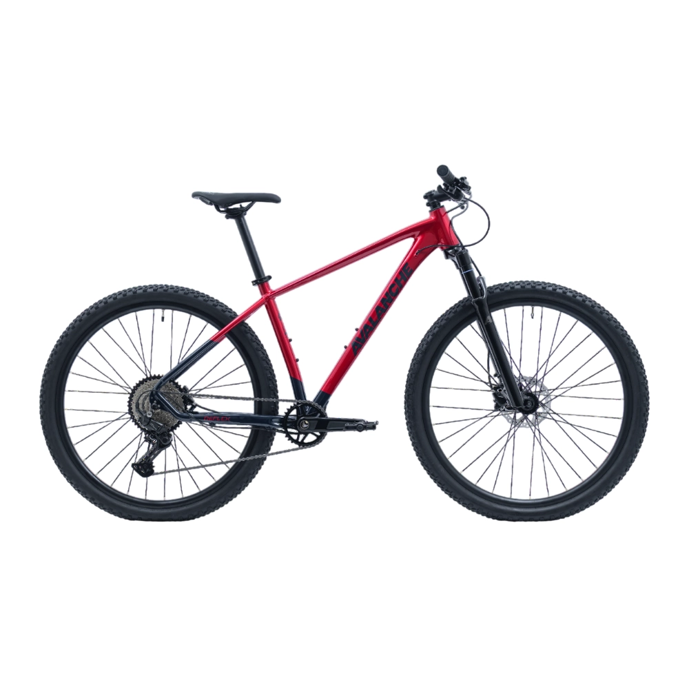 Avalanche Reflex Team 29 2026
