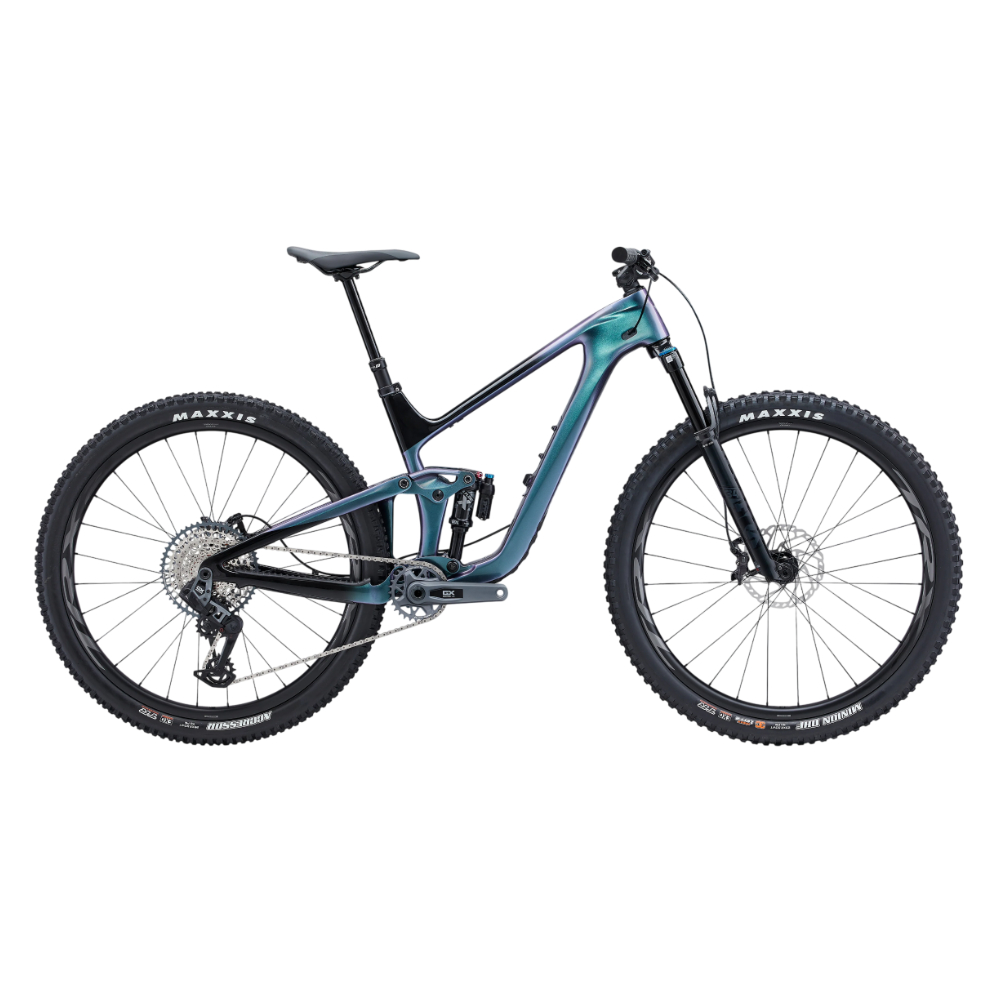 Giant Trance Advanced 1 29 Carbon Frame MTB 2024